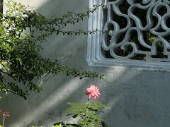 -拙政园