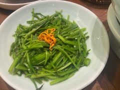 清炒水性杨花-老滇山寨•云南特色菜•地方菜•民族风情歌舞表演(金碧店)