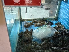 -石锅苗苗鱼(武汉首店)