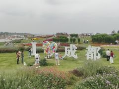 -空港花田景区
