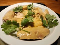 金牌阿姨鸡饭-阿姨食堂