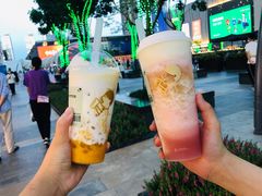 多肉芒芒甘露MAX-喜茶(深圳海岸城店)