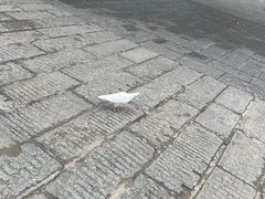 -宝通禅寺