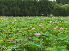 -东郊湿地公园