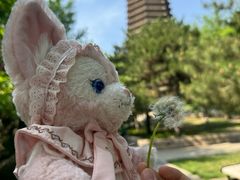 -玲珑塔公园