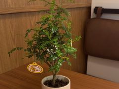 -CURRY YA 熟成咖哩專門店(深圳湾万象城店)