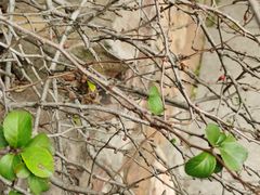 -昆山城市生态森林公园