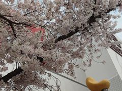 -西安创业咖啡街区