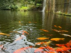 -千岛湖东南湖区