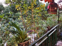 -黔味东南酸汤牛肉火锅(太平路一店)