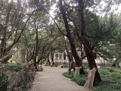 -叶家花园
