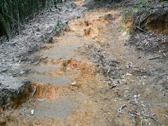 -萍乡武功山风景名胜区