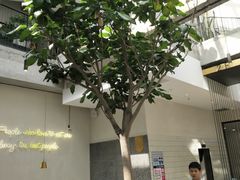 -大树餐厅(红旗街万达店)