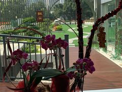 -白云宾馆·白云宴餐厅