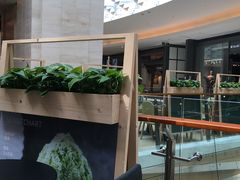 -36抹茶·千层与鲜果茶(欢乐海岸店)