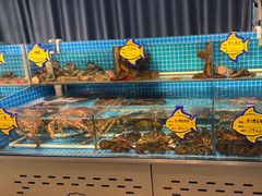 -韩记海鲜饺子旗舰店(红海新区店)