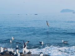 -银沙滩浴场