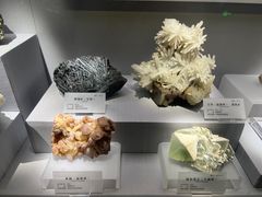 -湖南省地质博物馆