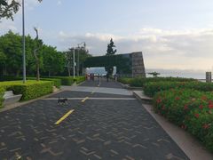 -深圳湾公园-停车场