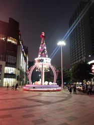 -华美国际月子会所(合生店)