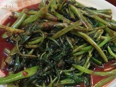 南乳汁空心菜-玲珑餐厅(陕西南路店)