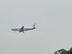 -空港花田景区
