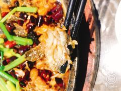 -老板恋上鱼(恒隆广场店)