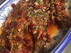 -鑫农家大院(余家头店)