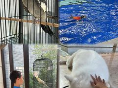 -上海崇明金茂凯悦酒店