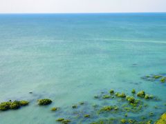 -北海金海湾红树林生态旅游区