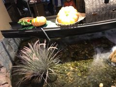 -兰木肆·云南菜(龙湖U城天街店)