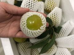 -呼吸森林·生态农庄农家乐私房菜