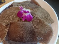-杨肥肠小火锅(跃进路店)