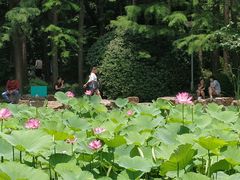 -上海野生动物园
