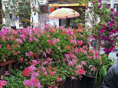 -萤火虫咖啡(后海店)