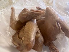 -百利鸽王(紫薇路店)