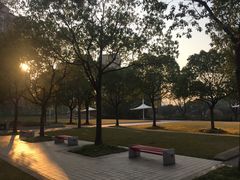 -新江湾城公园