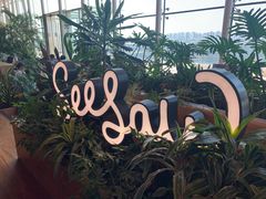 -Seesaw Coffee(朝阳大悦城店)