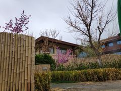 -大连金石滩绿发温泉假日酒店
