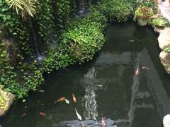 -普吉岛凯悦酒店