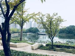 -新江湾城公园