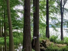 -东湖落雁景区