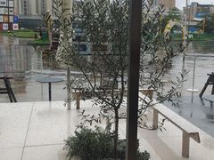 -喜茶(珠海华发商都店)