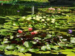 -国家植物园南园