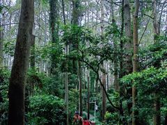 -水濂山森林公园