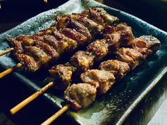 鸡胗-串鑫