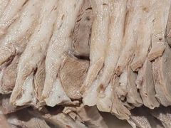 -老阿妈蒙古村·蒙古包·草原文化·歌舞表演(老君堂店)