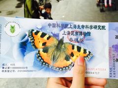 -上海昆虫博物馆