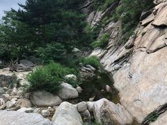 -无染寺