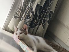 -马玉涛大叔的麻辣烫